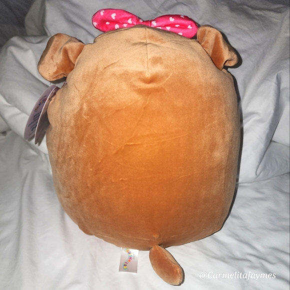 ANDRES 🎀 Sheltie Dog Valentine 2024 Original Squishmallow by Kelly Toy ☆》NWT《☆ - Picture 4 of 8